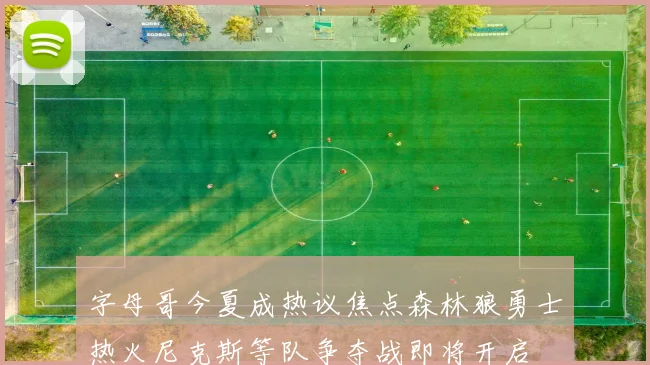 字母哥今夏成热议焦点森林狼勇士热火尼克斯等队争夺战即将开启