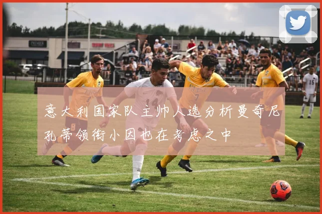 意大利国家队主帅人选分析曼奇尼孔蒂领衔小因也在考虑之中