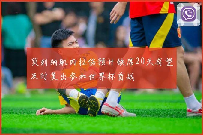 莫利纳肌肉拉伤预计缺席20天有望及时复出参加世界杯首战